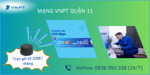 Lắp mạng VNPT Quận 11