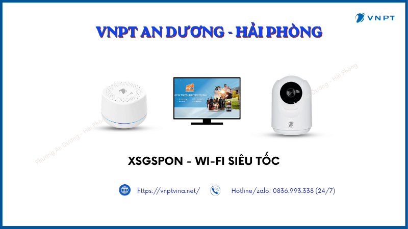 Lắp mạng VNPT Dương Kinh