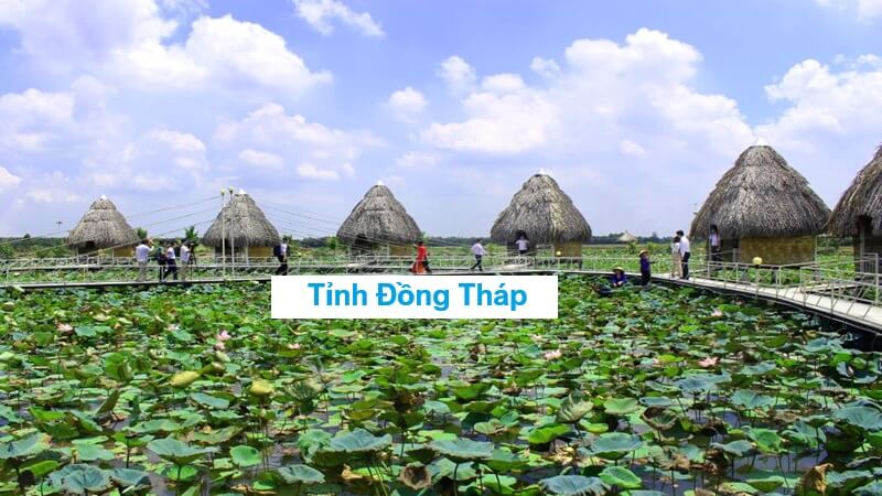 VNPT Đồng Tháp
